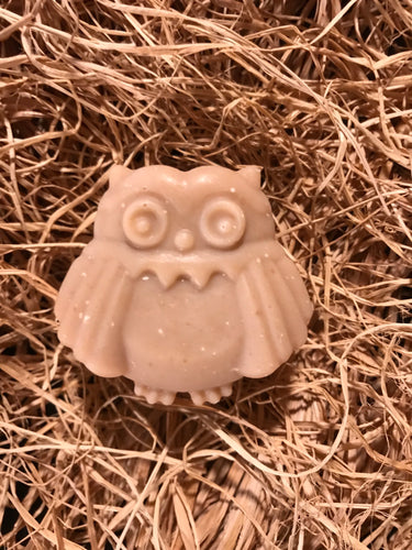 Owl